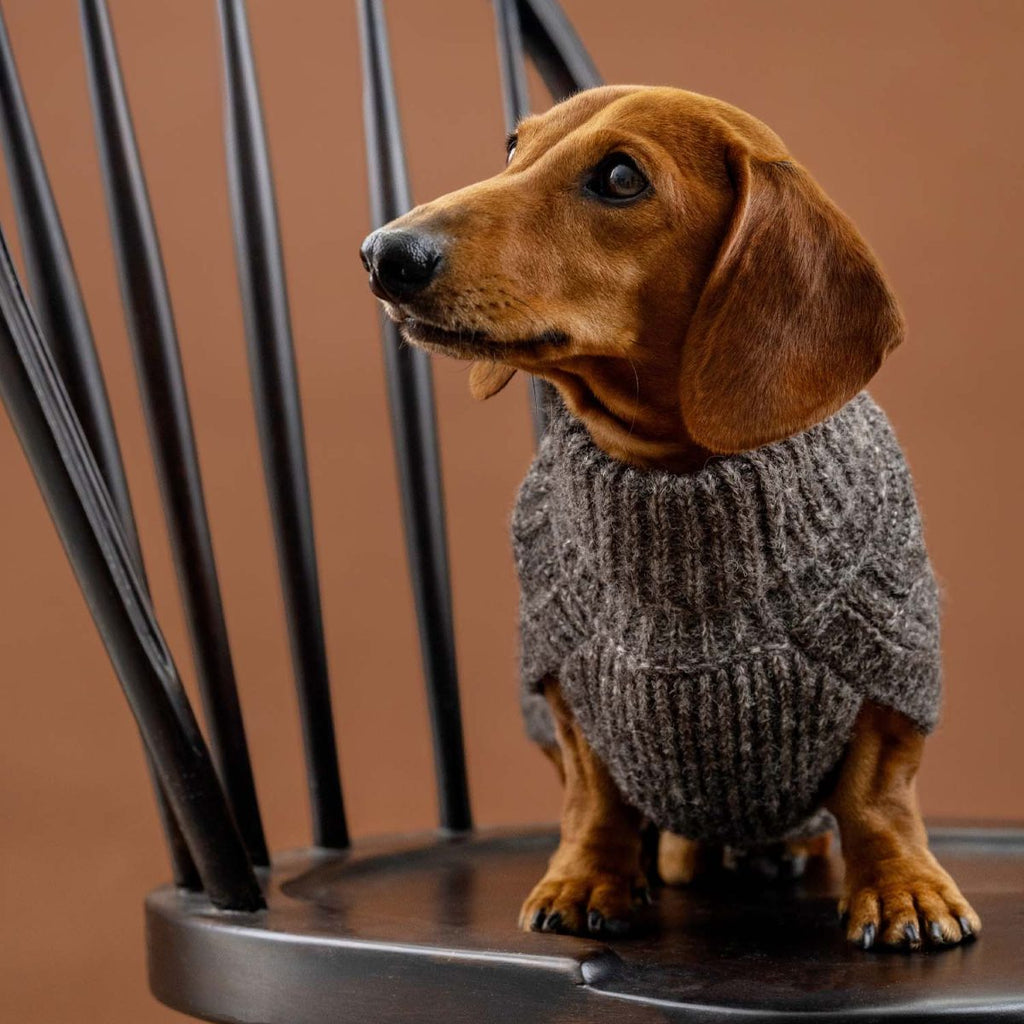 Maglione per cani in alpaca Basket Knit