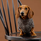 Maglione per cani in alpaca Basket Knit