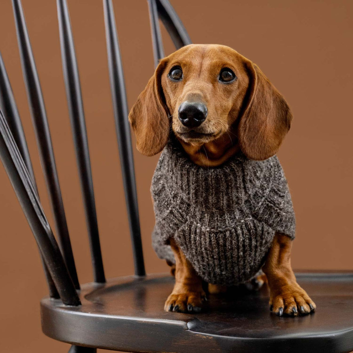 Maglione per cani in alpaca Basket Knit