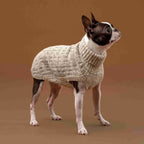 Maglione per cani in alpaca Basket Knit