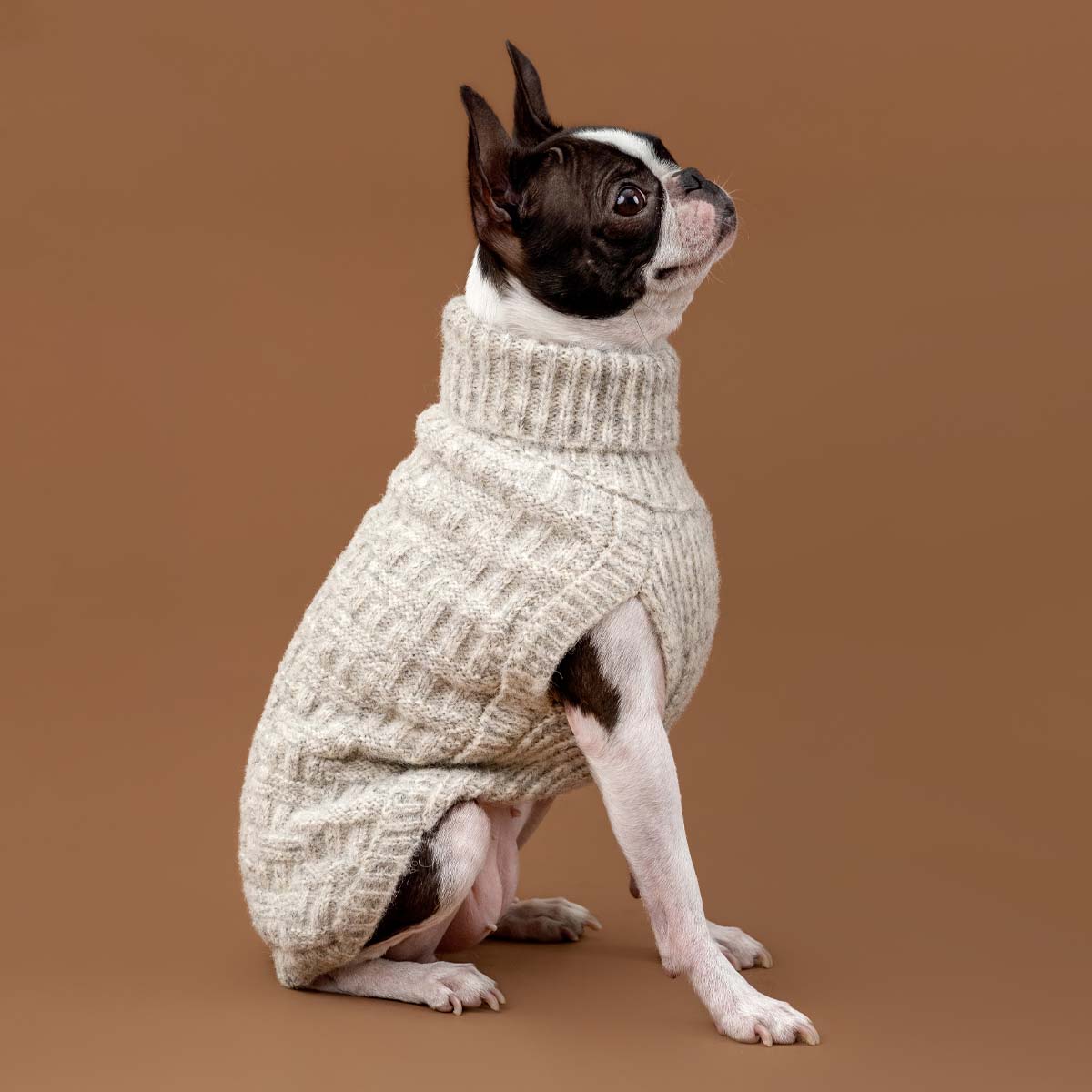 Maglione per cani in alpaca Basket Knit