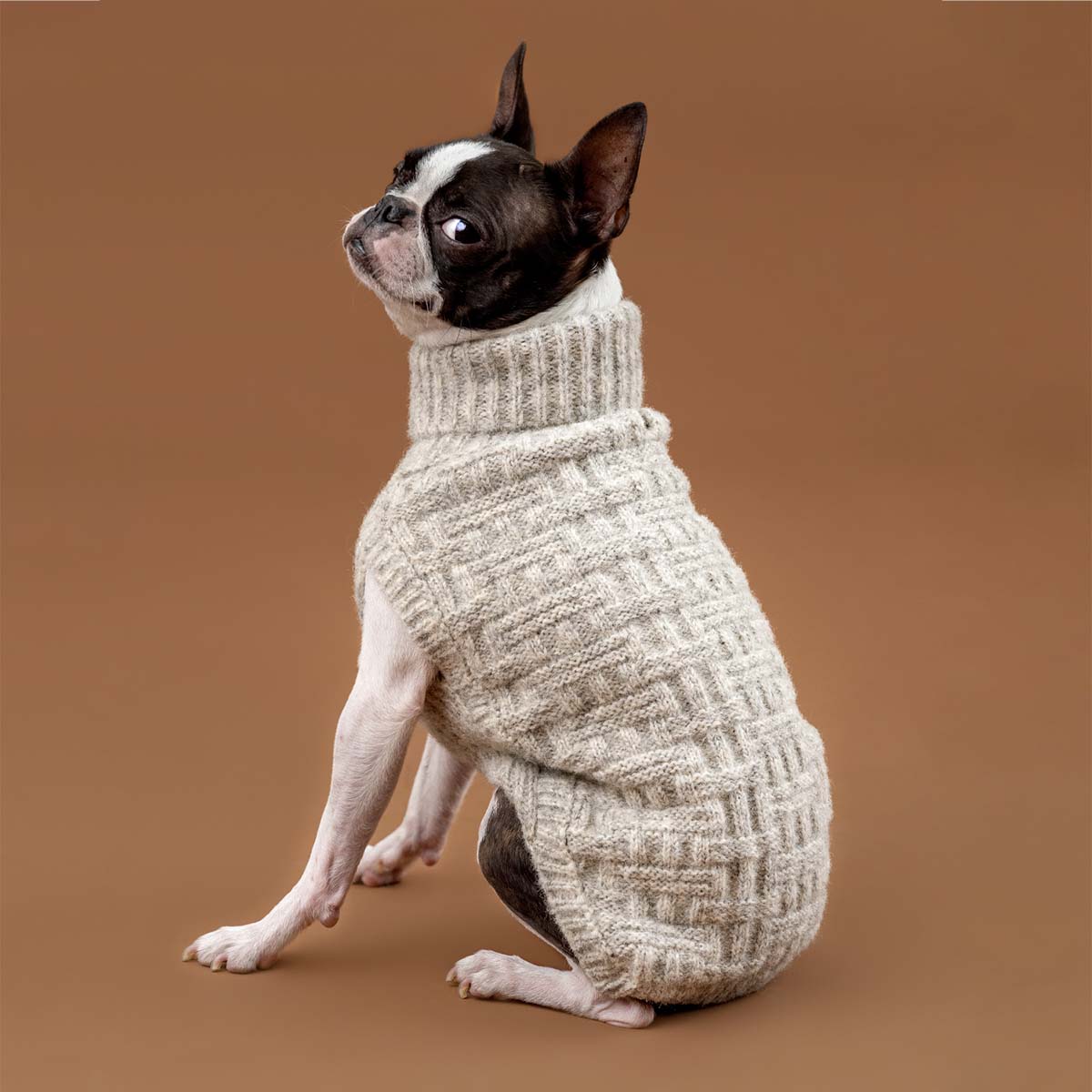 Maglione per cani in alpaca Basket Knit