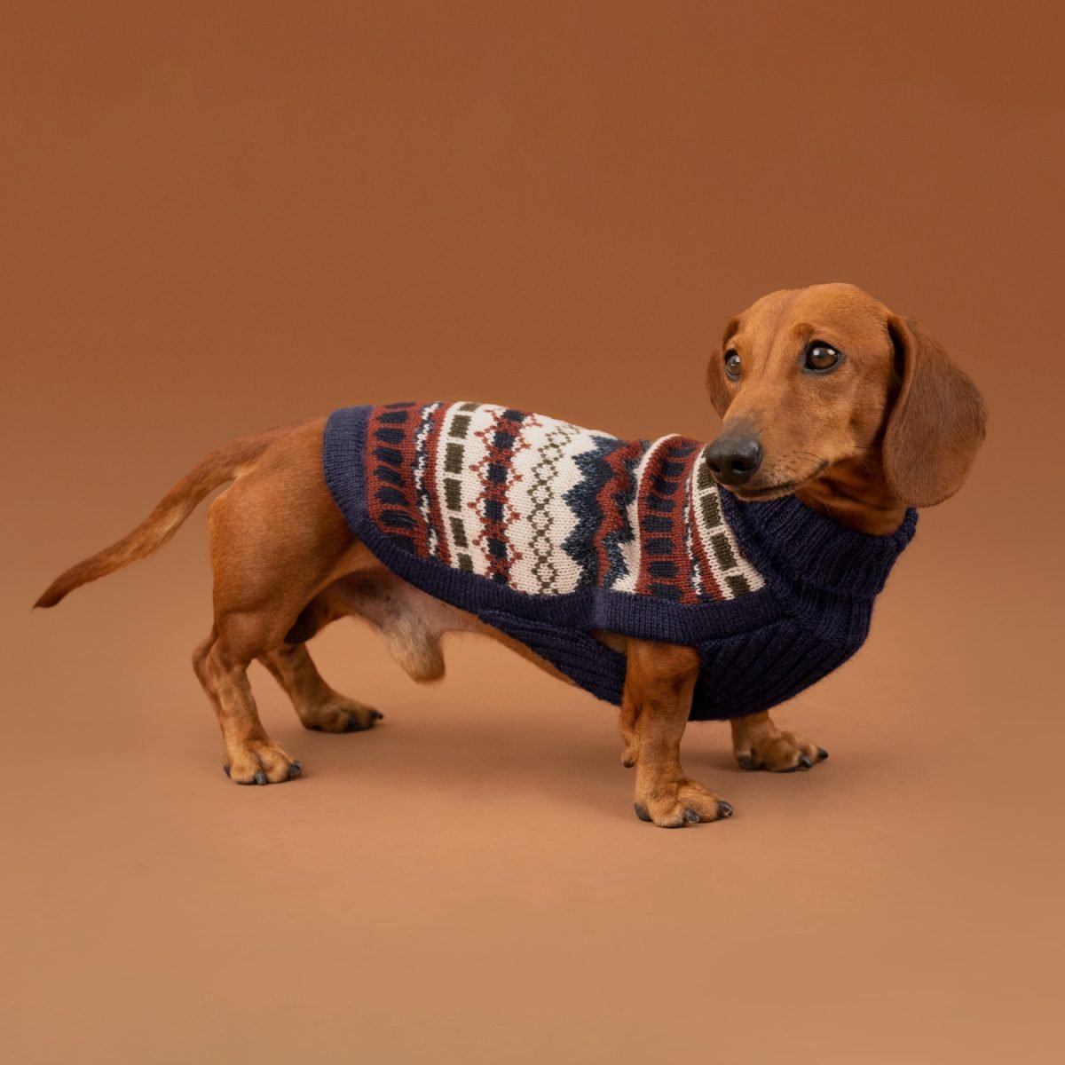 Maglione per cani in alpaca Iceberg Bleu Melange