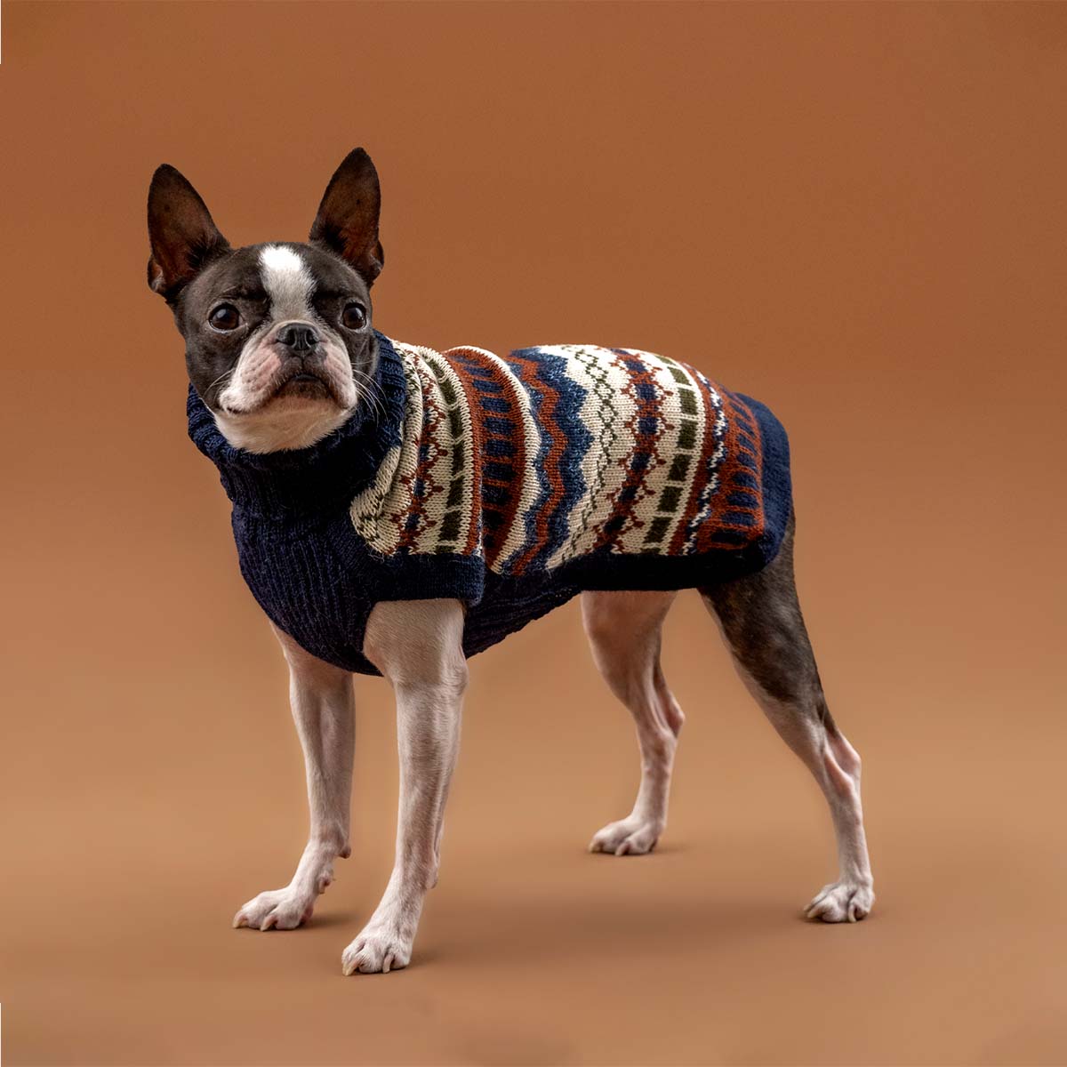 Maglione per cani in alpaca Iceberg Bleu Melange