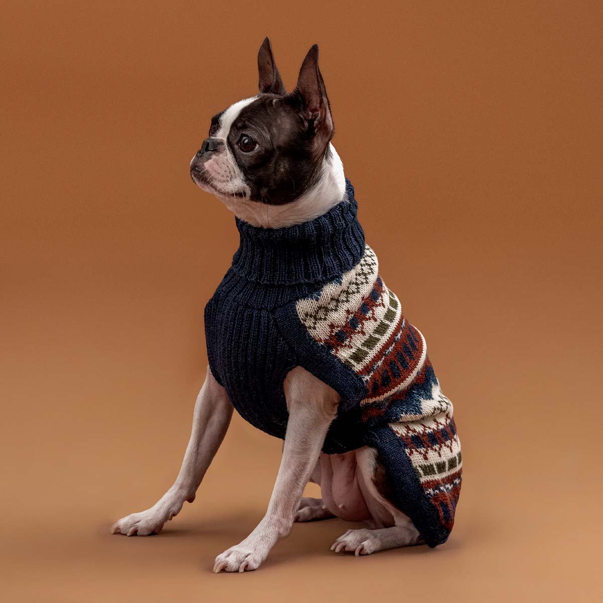 Maglione per cani in alpaca Iceberg Bleu Melange