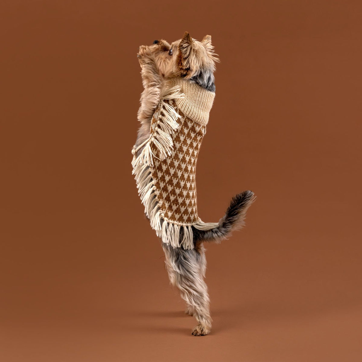 Poncho in alpaca per cani Triad