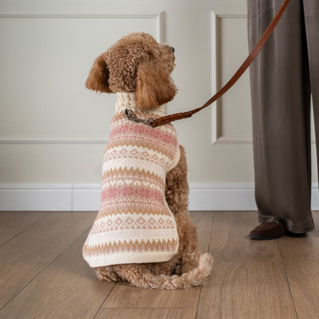 Maglione per cani in alpaca Fall Medley