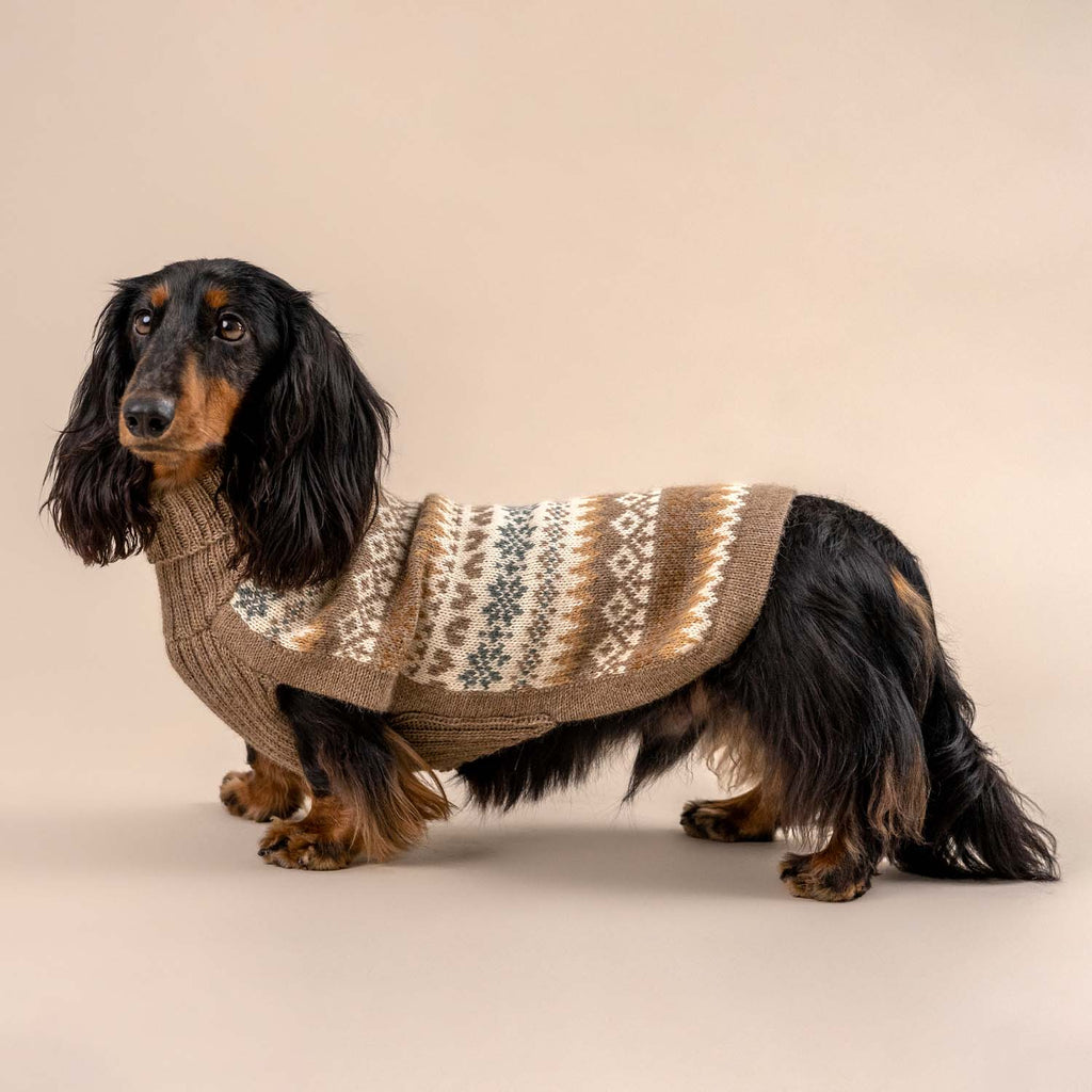 Maglione per cani in alpaca Fall Medley