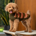 Maglione per cani in alpaca lavorato a maglia Forest Chevron AlqoWasi
