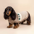 Maglione per cani in alpaca Frosted Grove