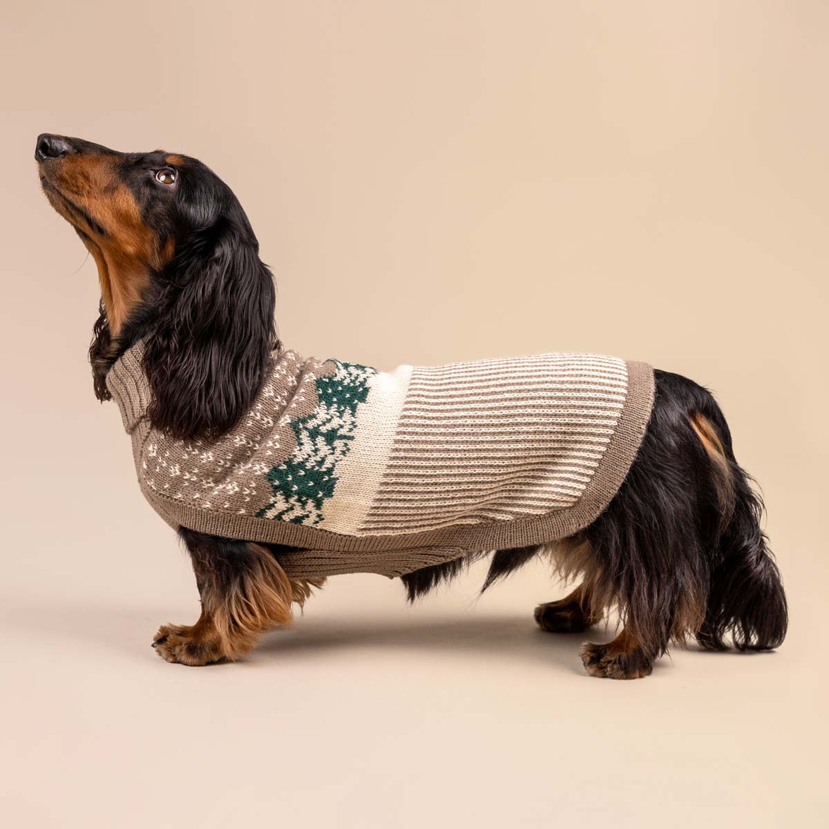 Maglione per cani in alpaca Frosted Grove