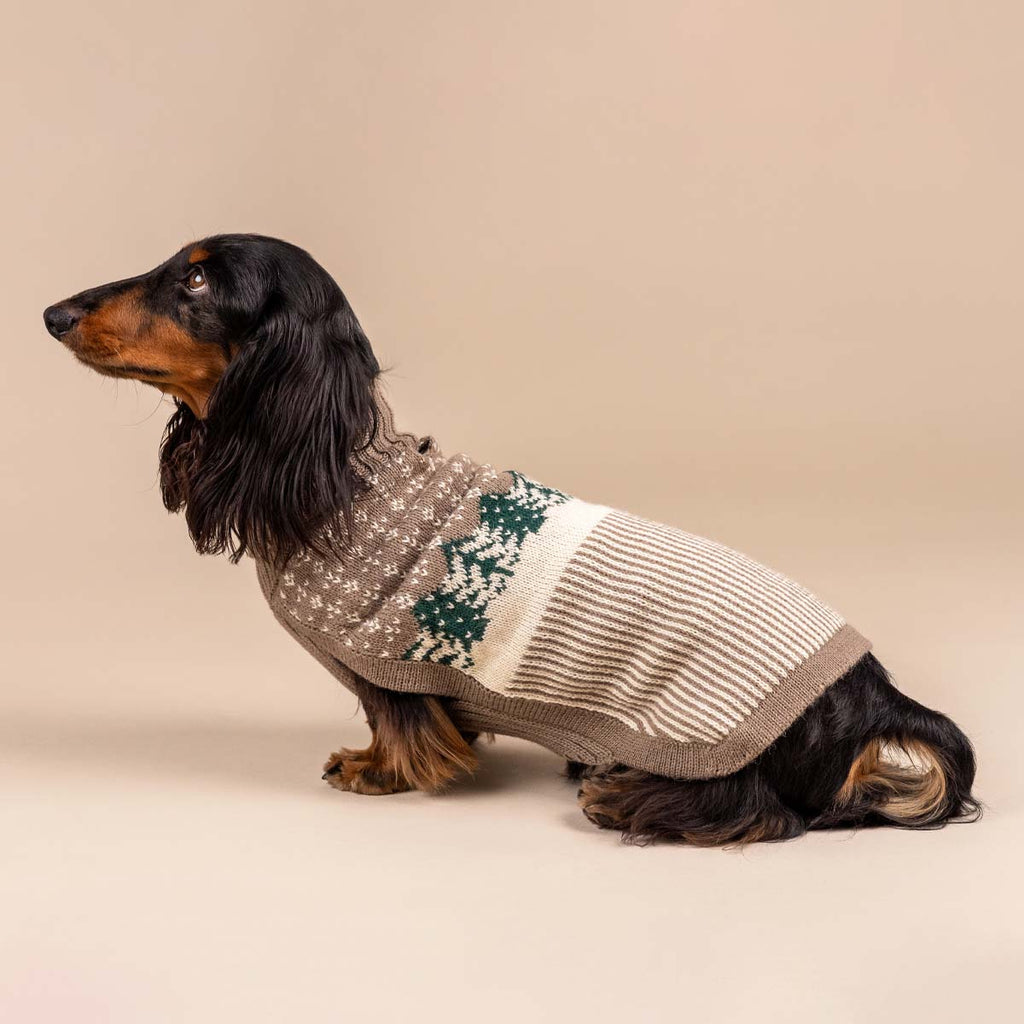 Maglione per cani in alpaca Frosted Grove