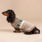 Maglione per cani in alpaca Frosted Grove