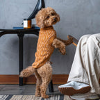 Maglione per cani in alpaca color ocra dorata