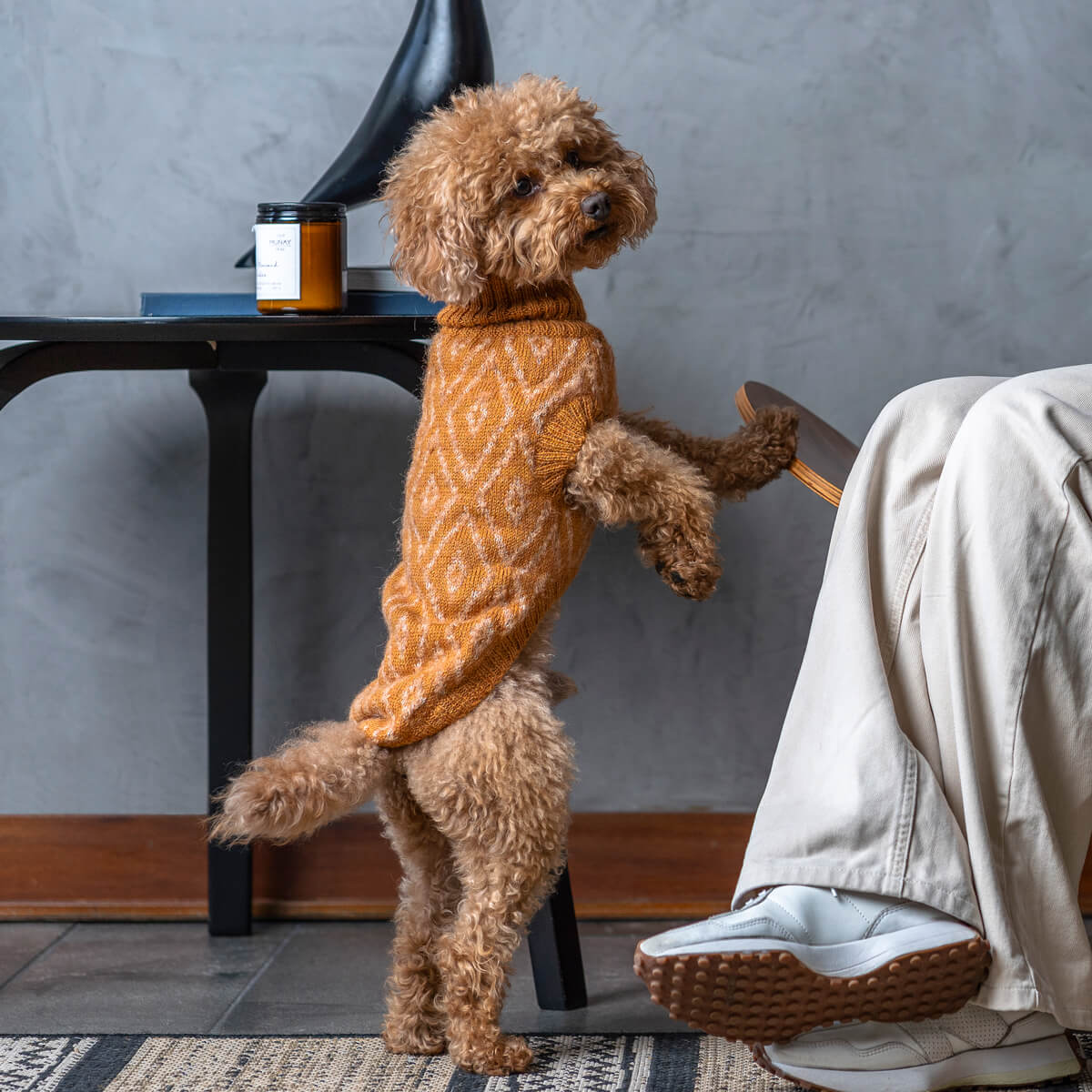 Maglione per cani in alpaca color ocra dorata