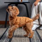 Maglione per cani in alpaca color ocra dorata