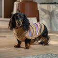 Maglione per cani Hello Autumn Alpaca AlqoWasi