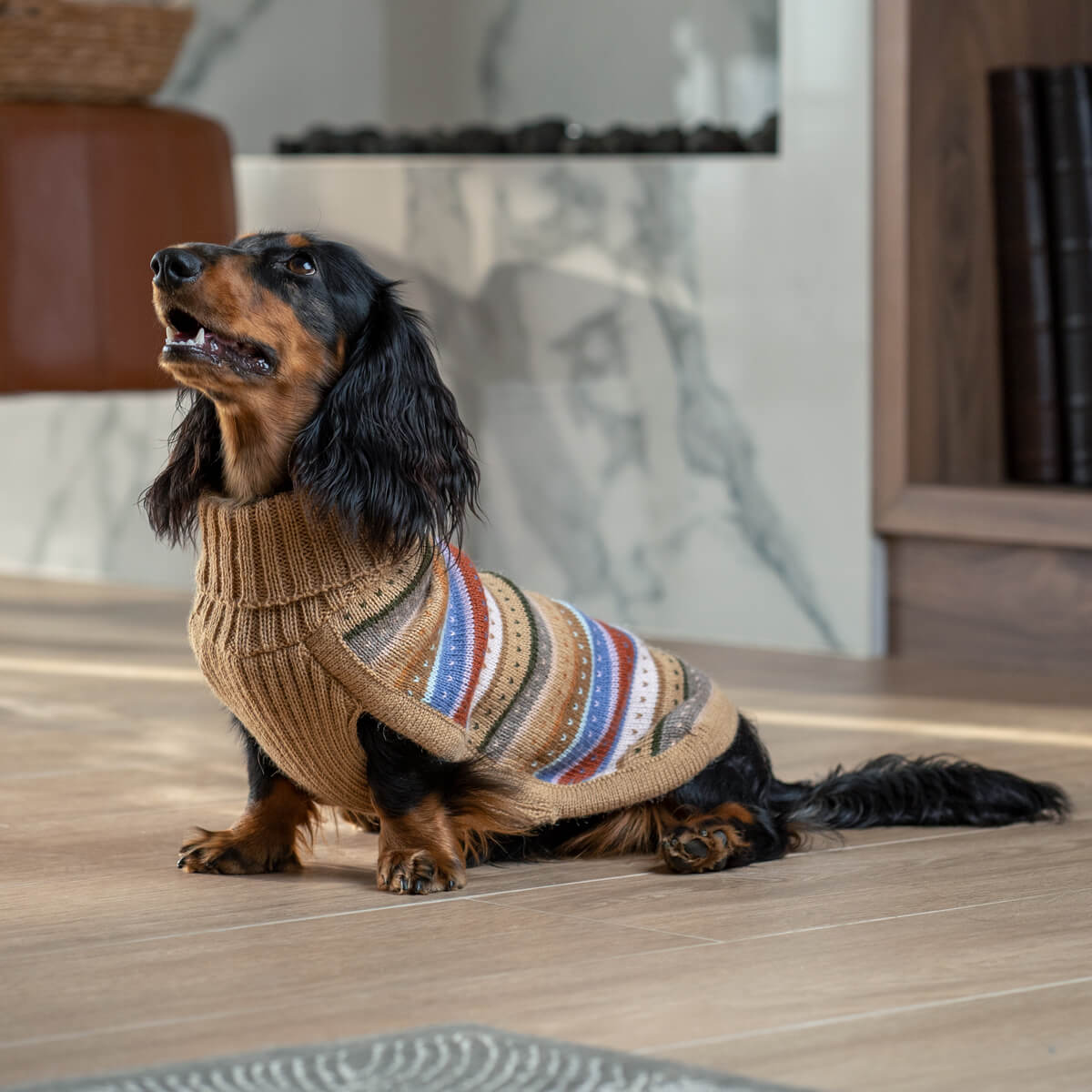 Maglione per cani Hello Autumn Alpaca AlqoWasi