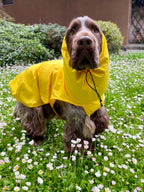 Kway Impermeabile Stelvio