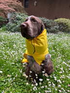 Kway Impermeabile Stelvio