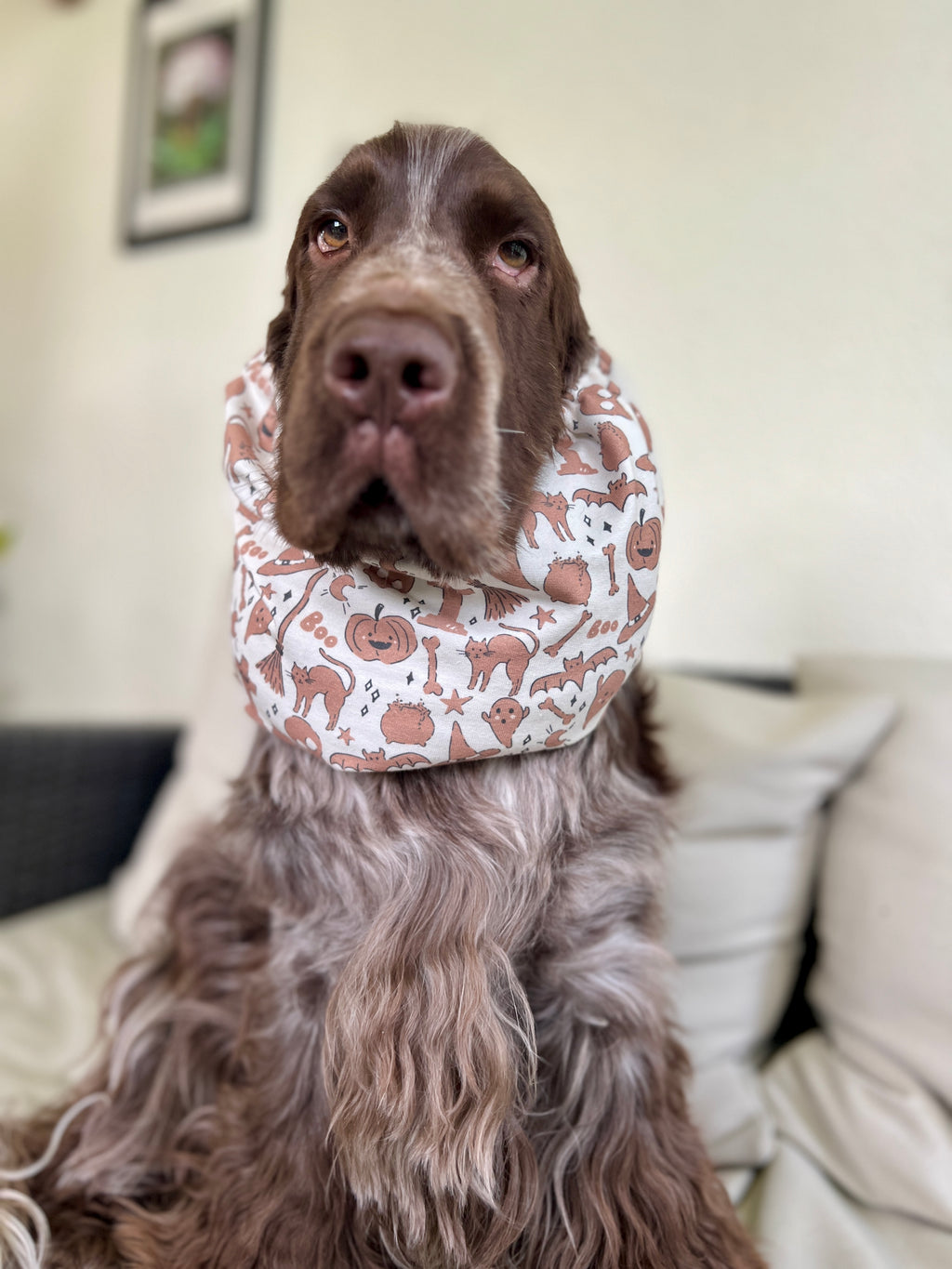 Snood in Jersey Halloween