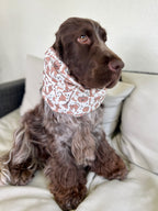 Snood in Jersey Halloween