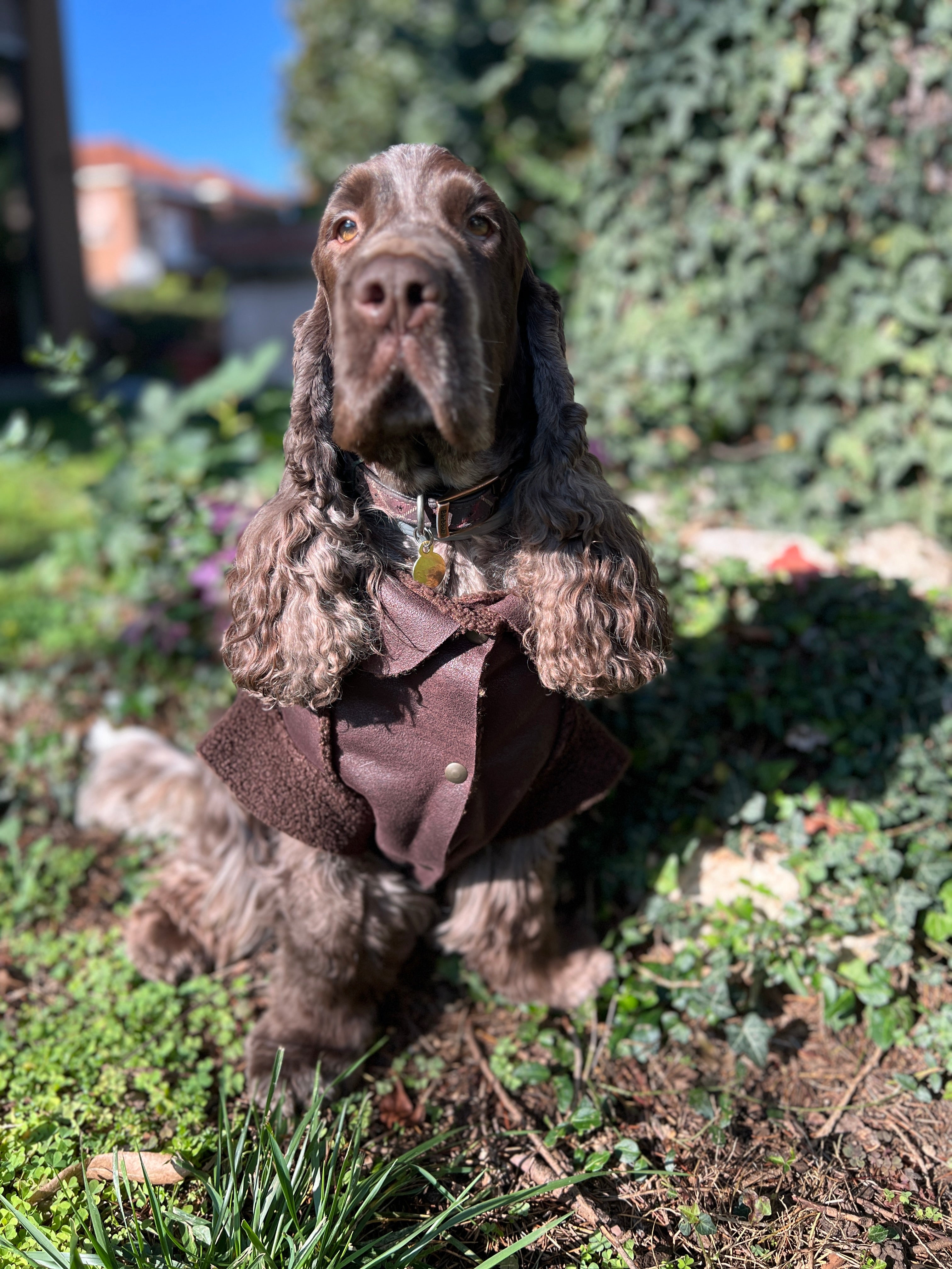 Giacca in Montone Cortina