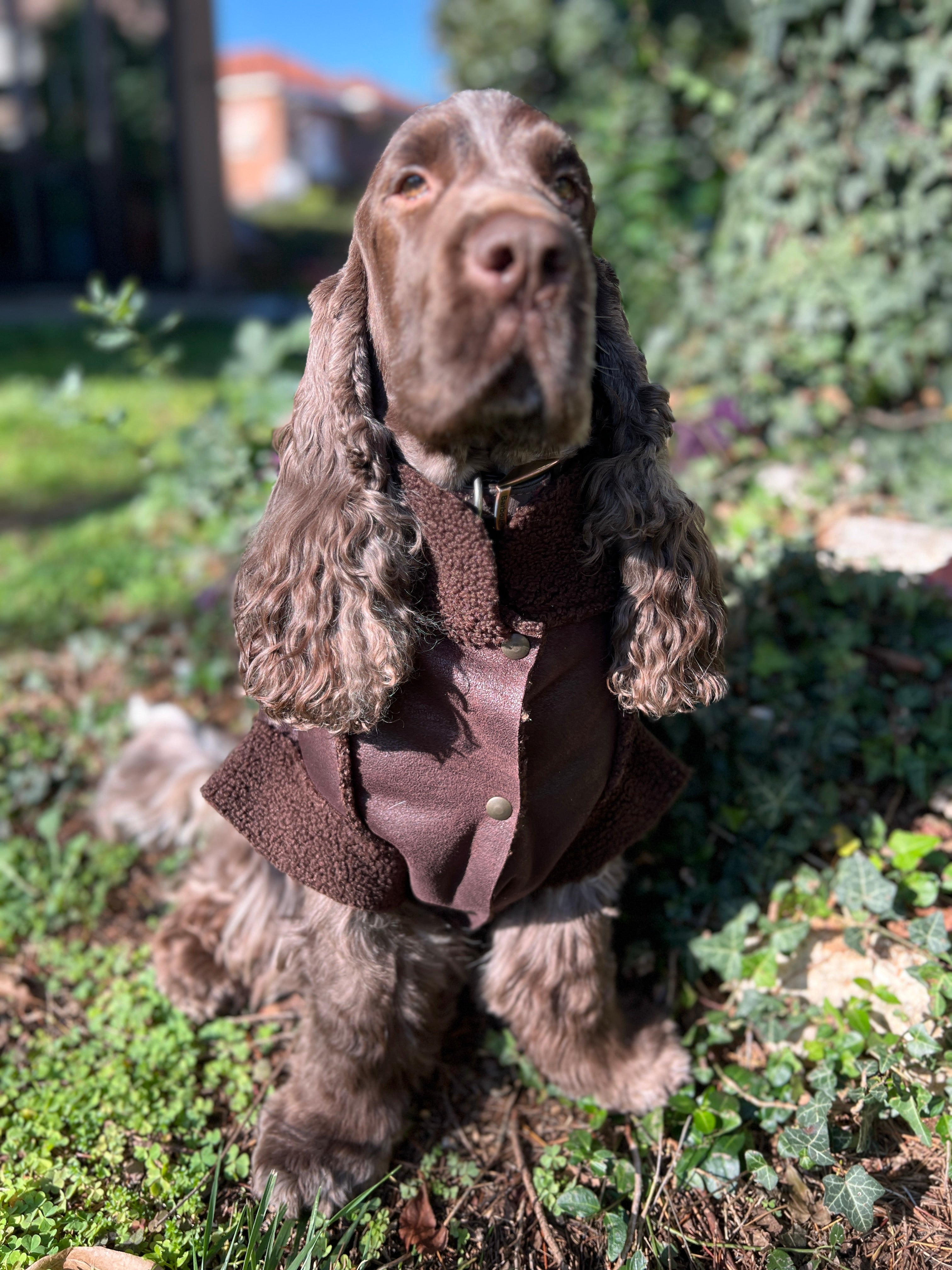 Giacca in Montone Cortina