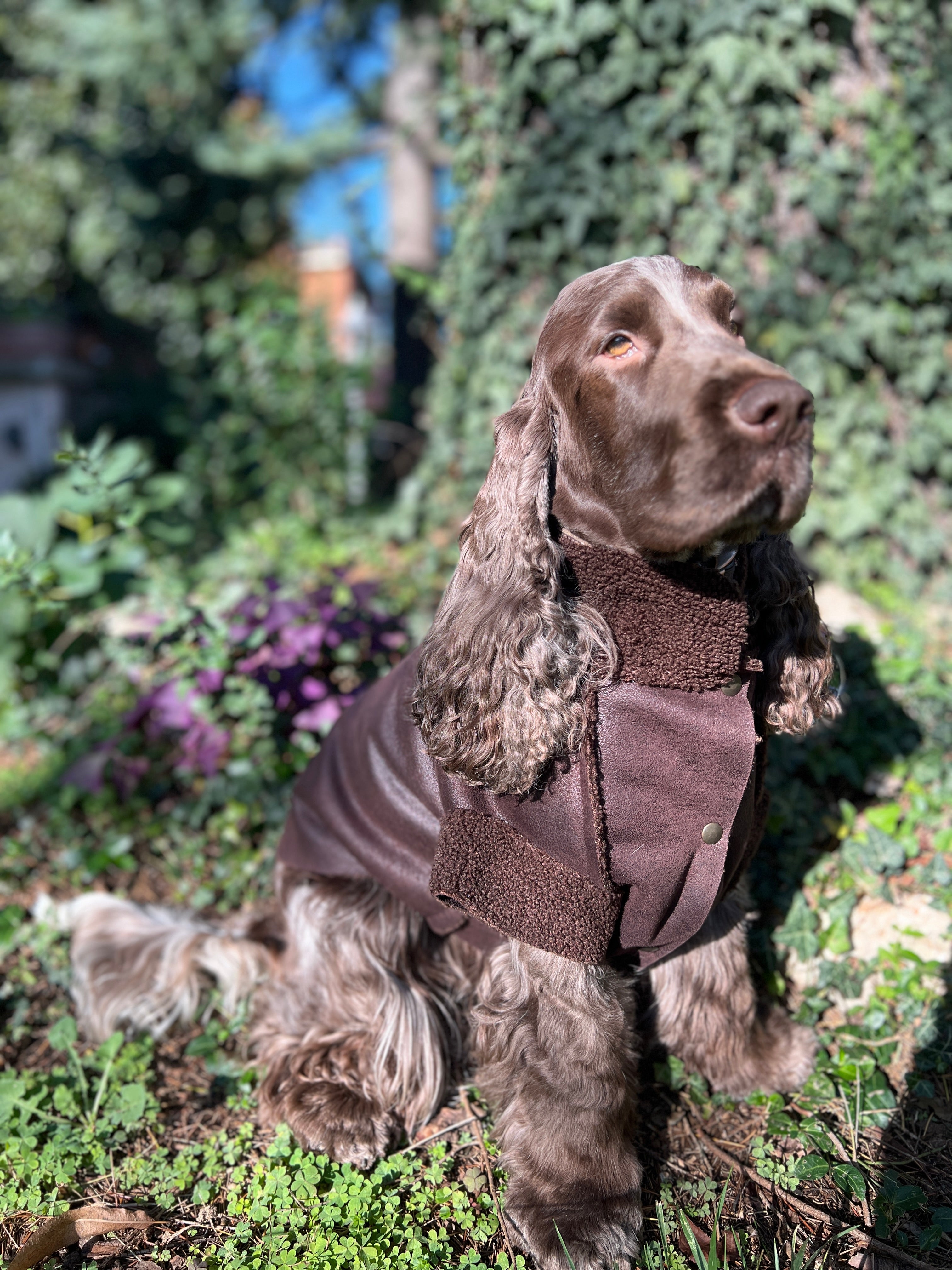 Giacca in Montone Cortina