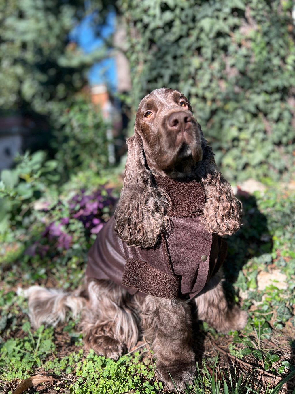 Giacca in Montone Cortina