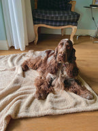 Morbida coperta in teddy bouclè