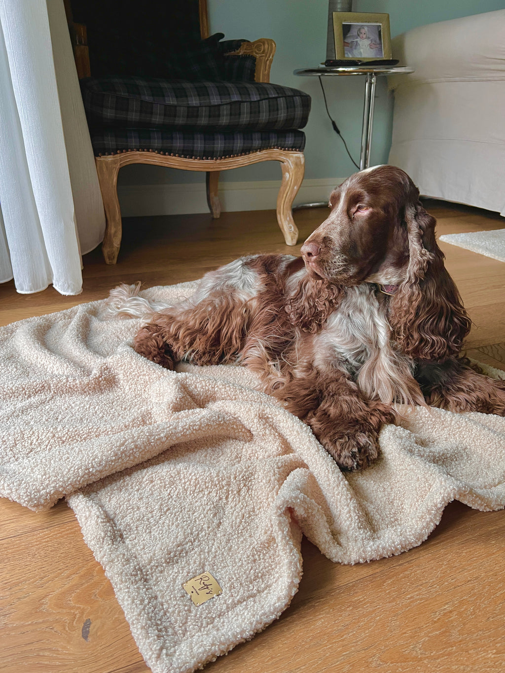 Morbida coperta in teddy bouclè