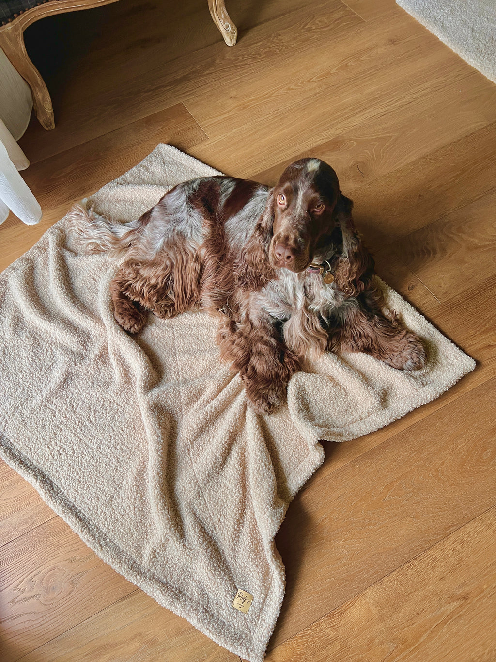 Morbida coperta in teddy bouclè