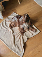 Morbida coperta in teddy bouclè