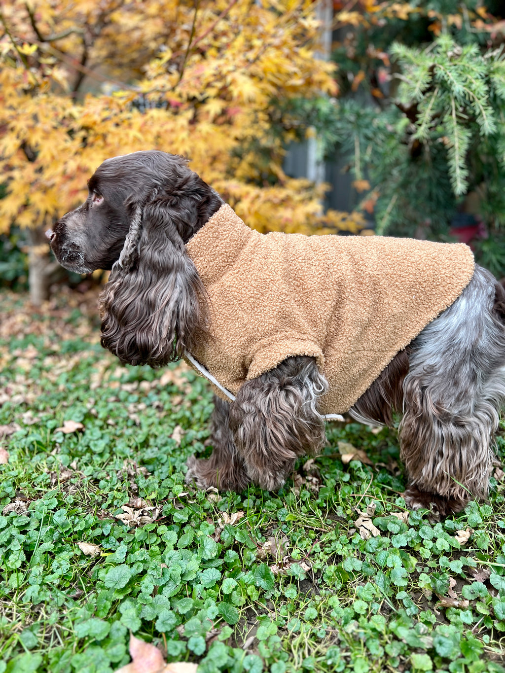 Giacca Reversibile Margot