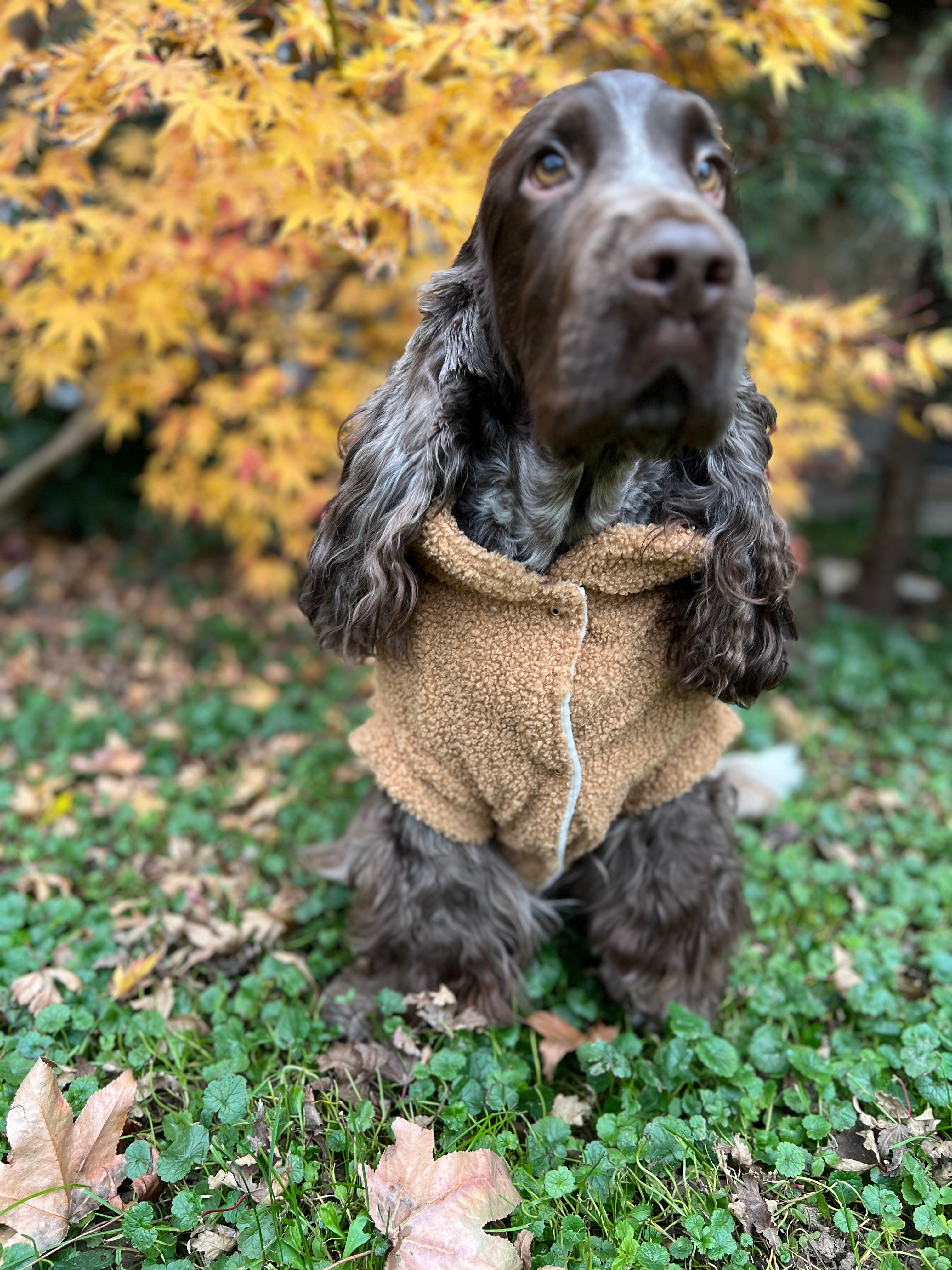 Giacca Reversibile Margot