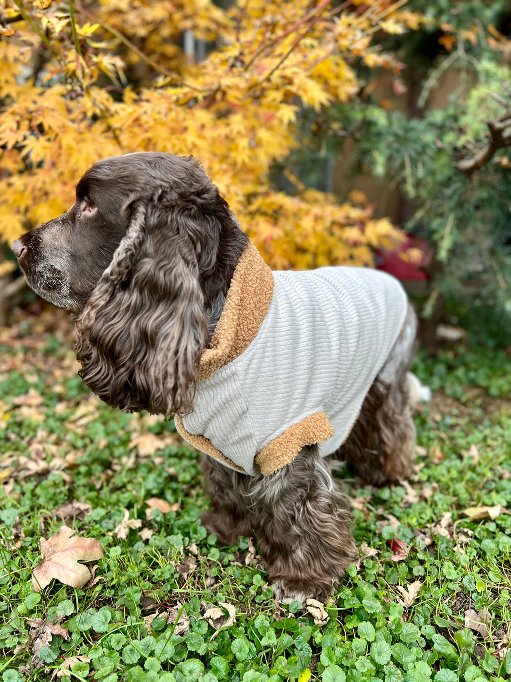 Giacca Reversibile Margot