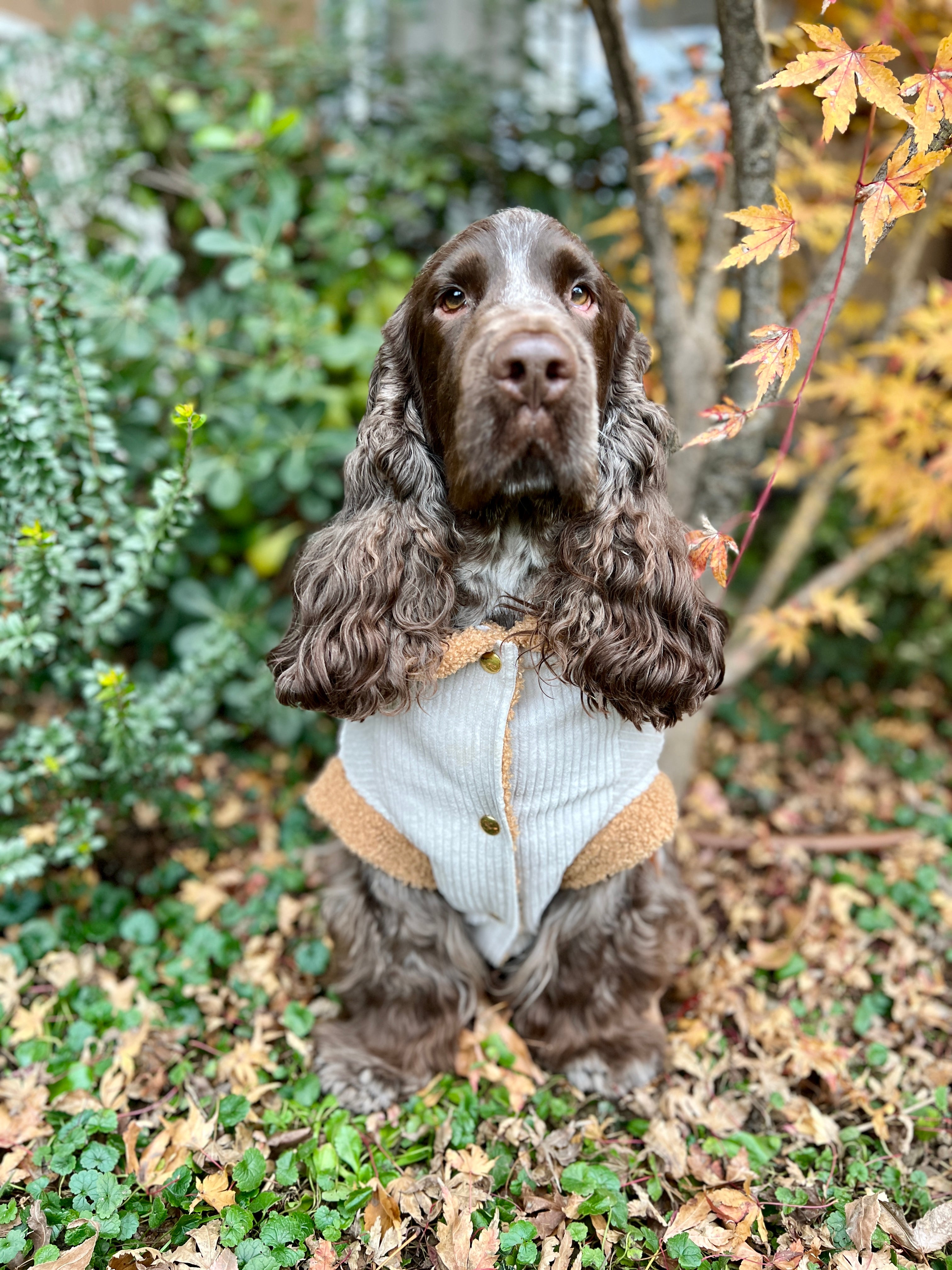 Giacca Reversibile Margot