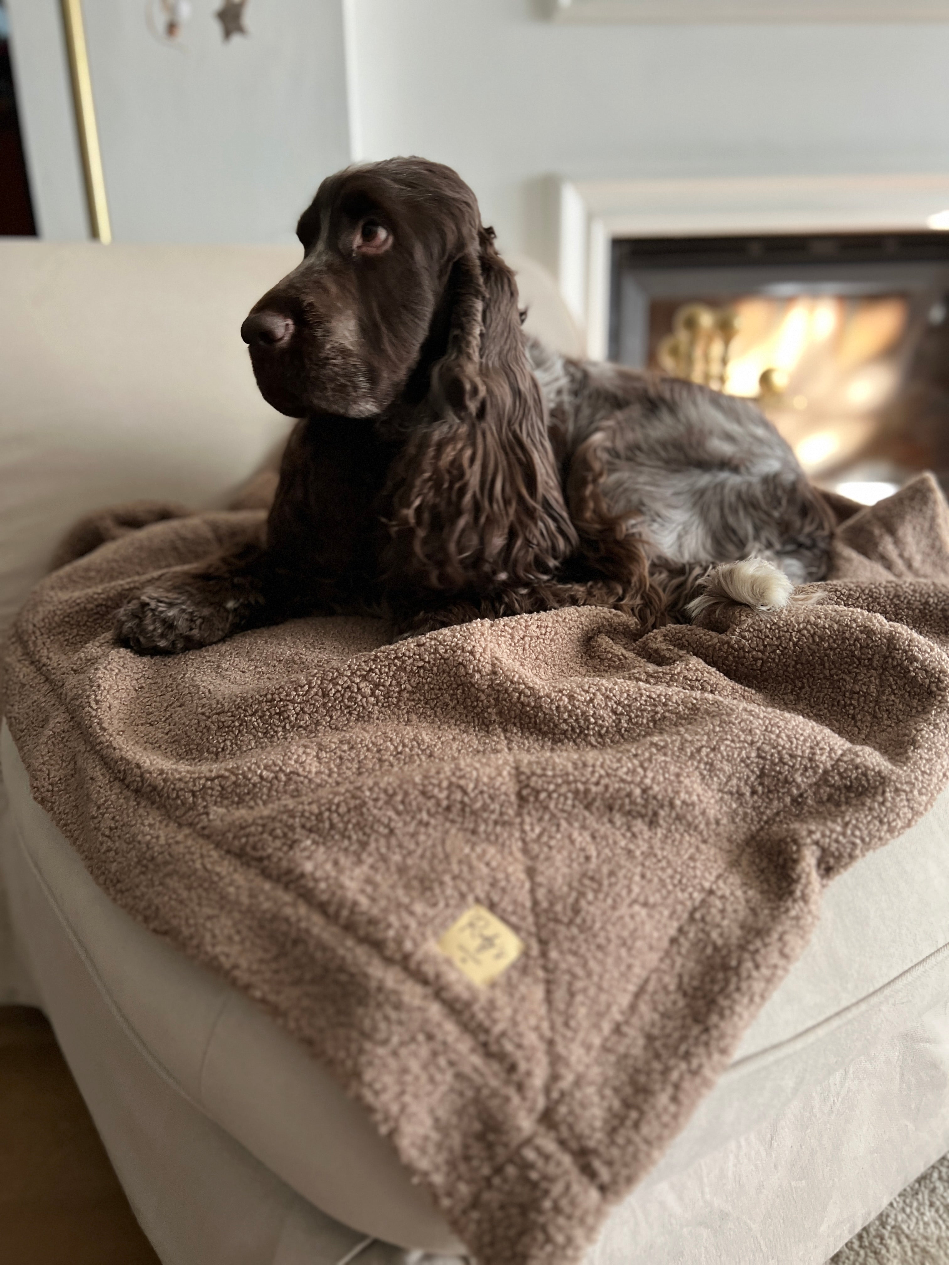 Morbida coperta in teddy bouclè