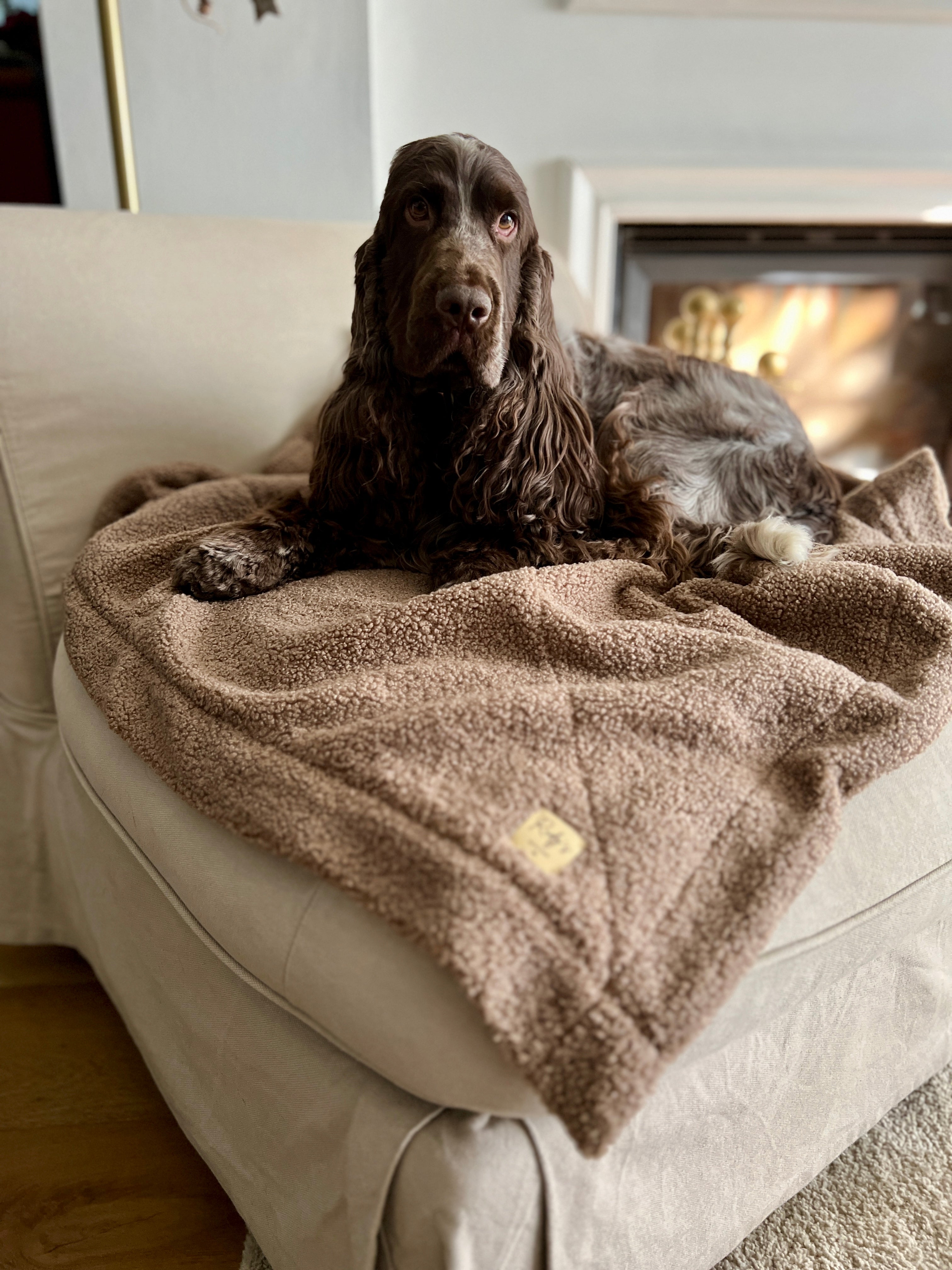 Morbida coperta in teddy bouclè