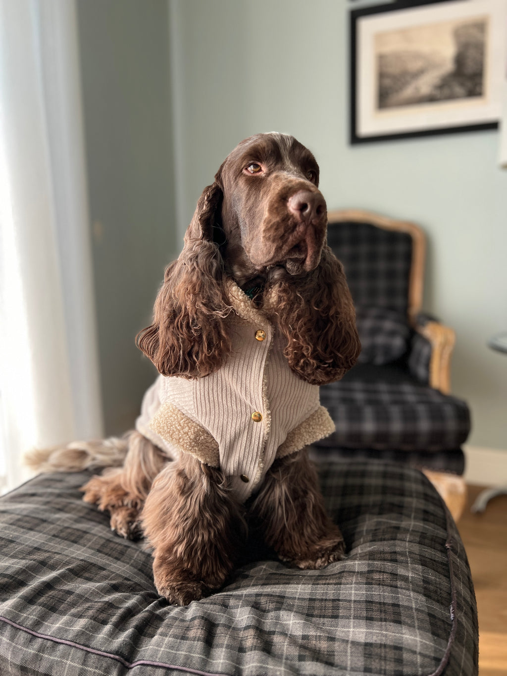 Giacca Reversibile Margot