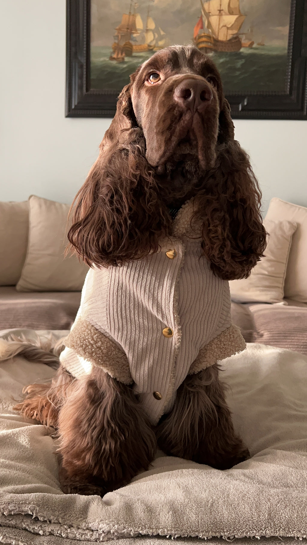 Giacca Reversibile Margot