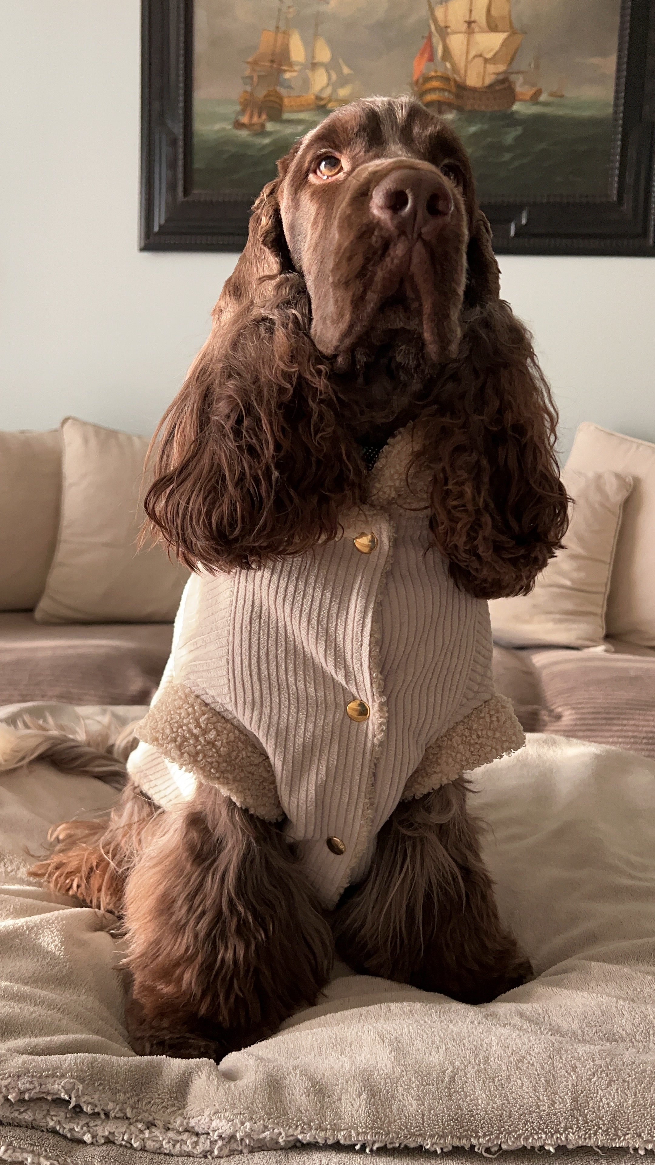 Giacca Reversibile Margot