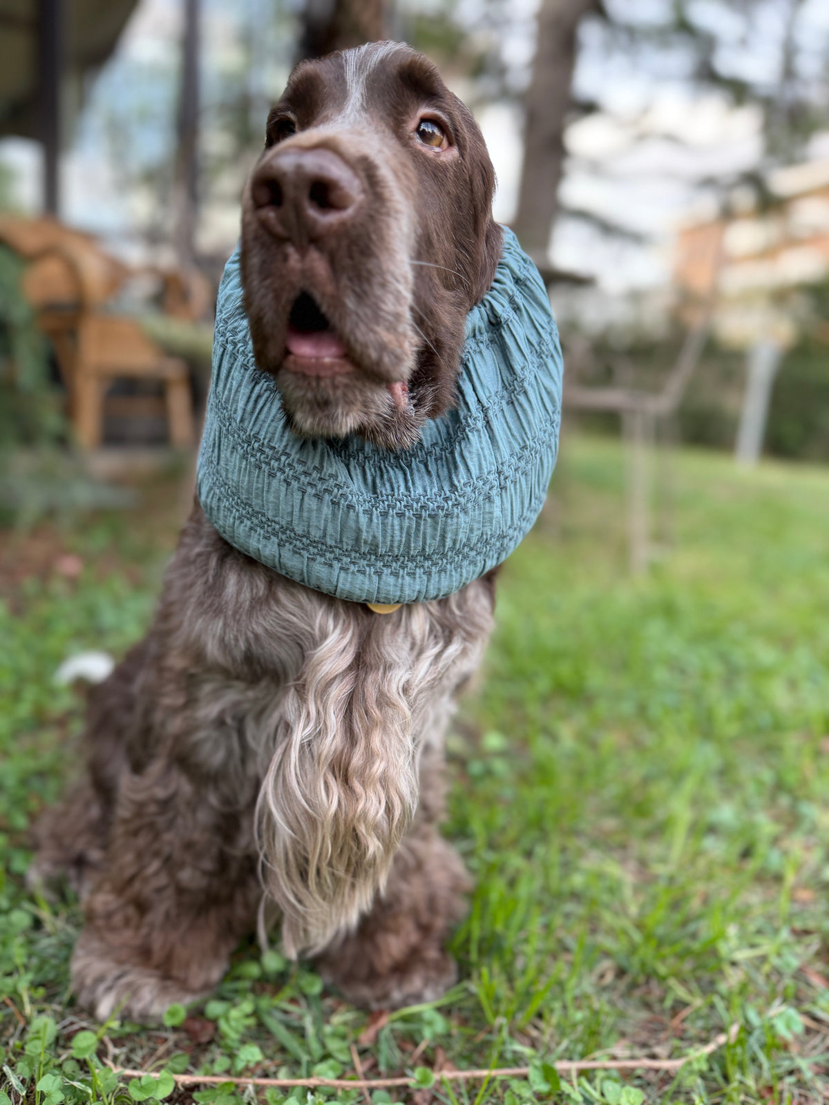 Paraorecchie in Chenille Giada
