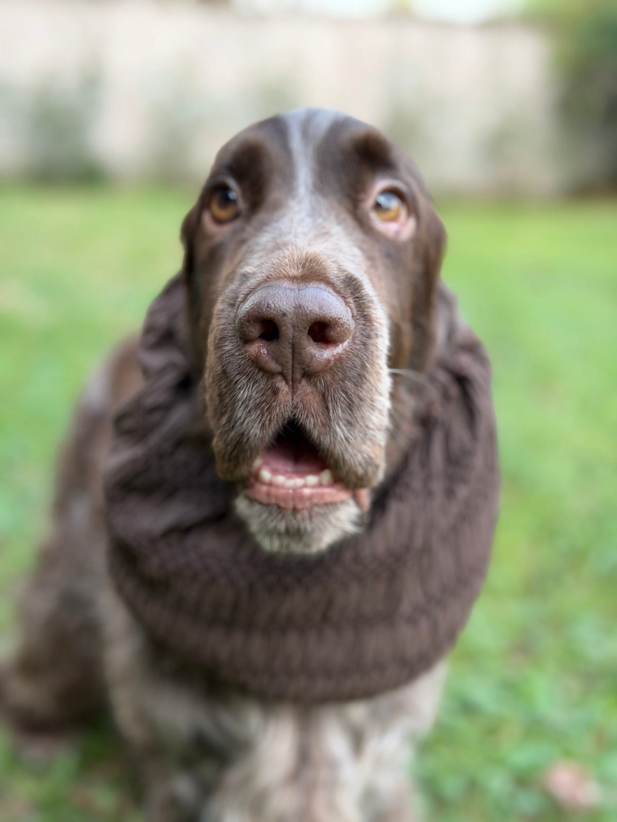 Paraorecchie in Chenille Cioccolato