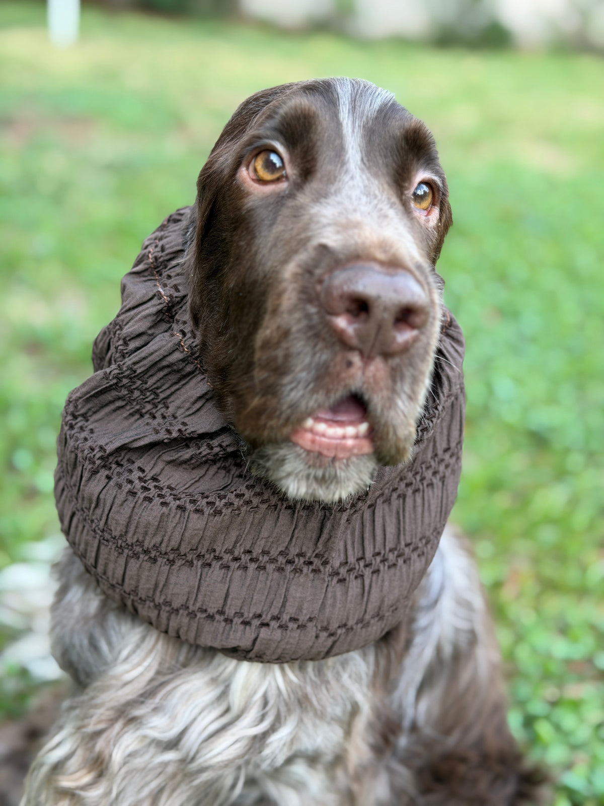 Paraorecchie in Chenille Cioccolato