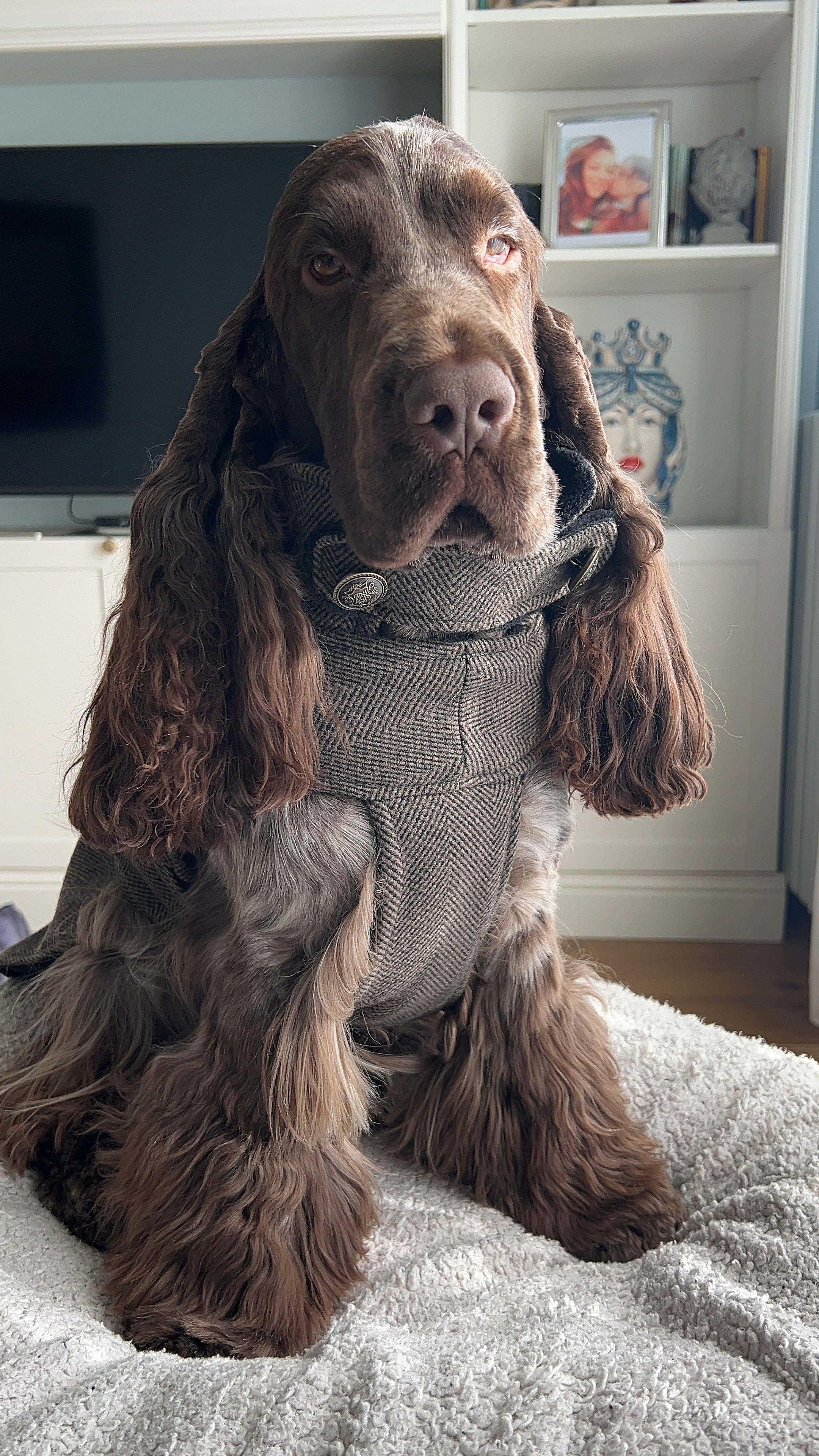 Cappottino in pura lana Brooklin