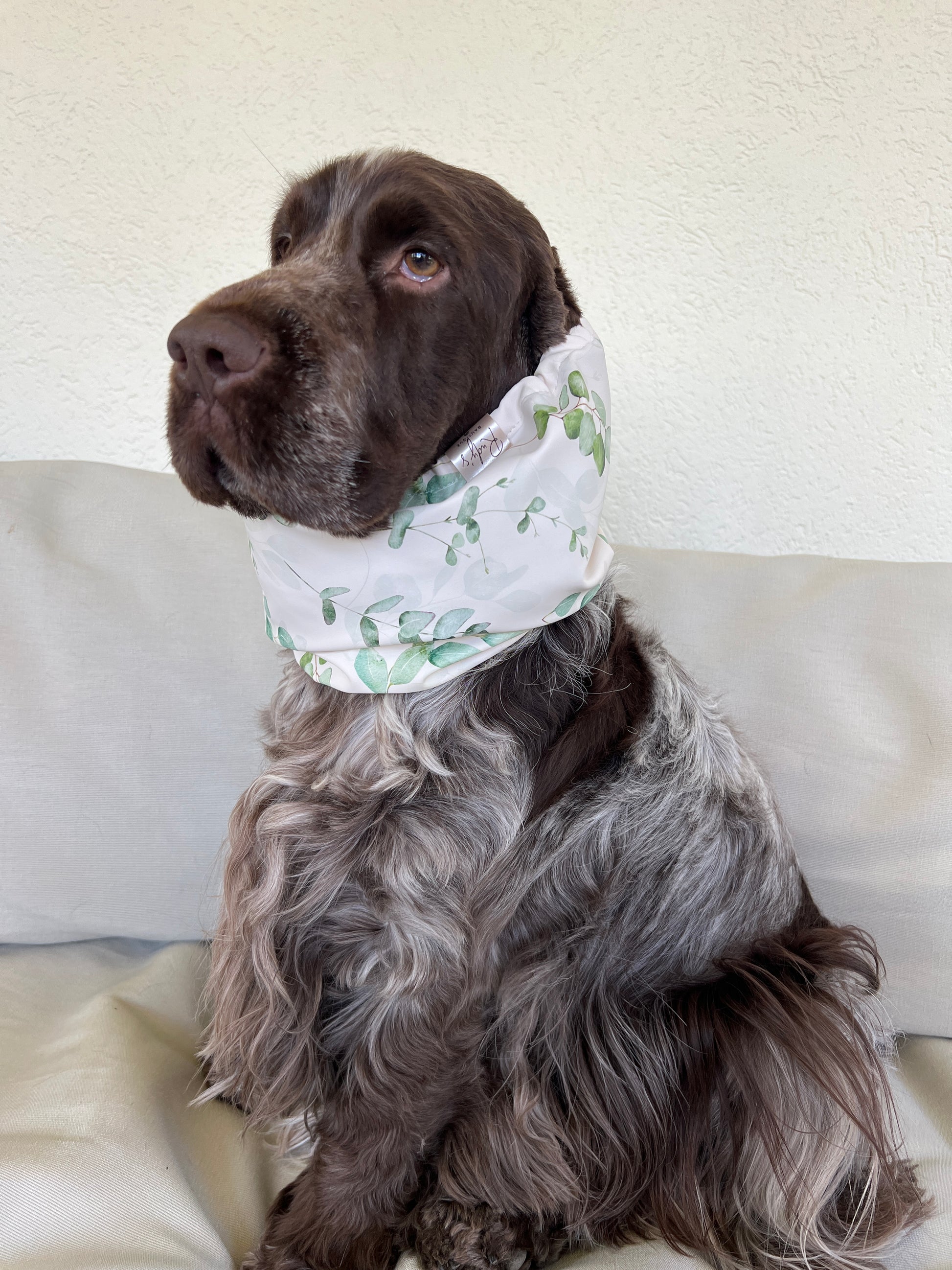 Snood impermeabili