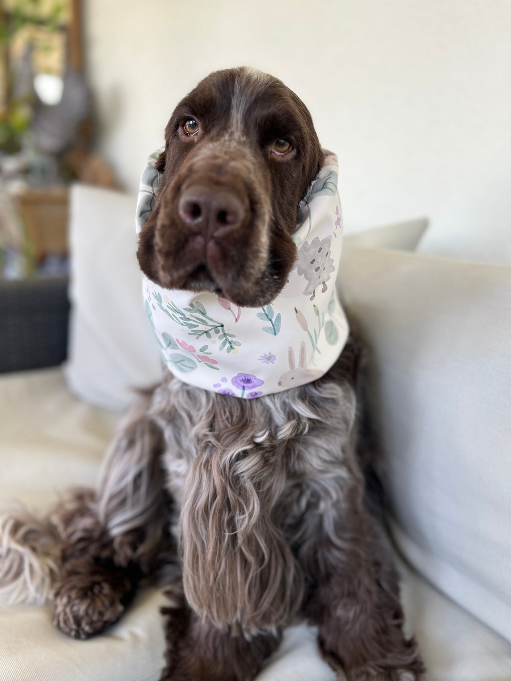 Snood impermeabili