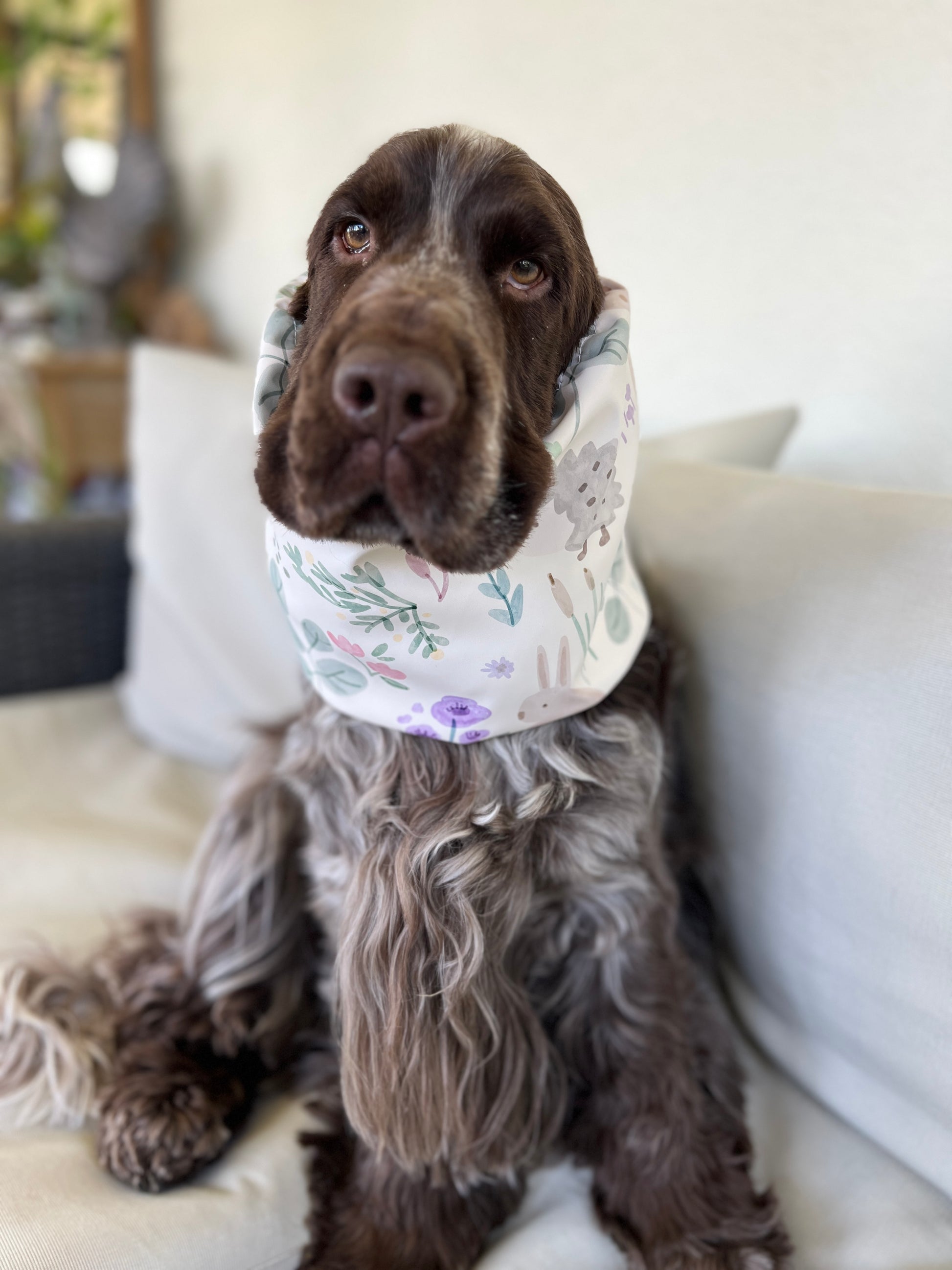 Snood impermeabili